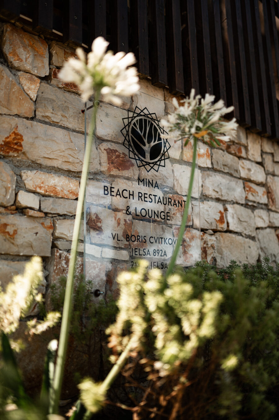 Mina restaurant & Lounge bar 